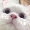 ToNight-【TITAIKE】T太科网