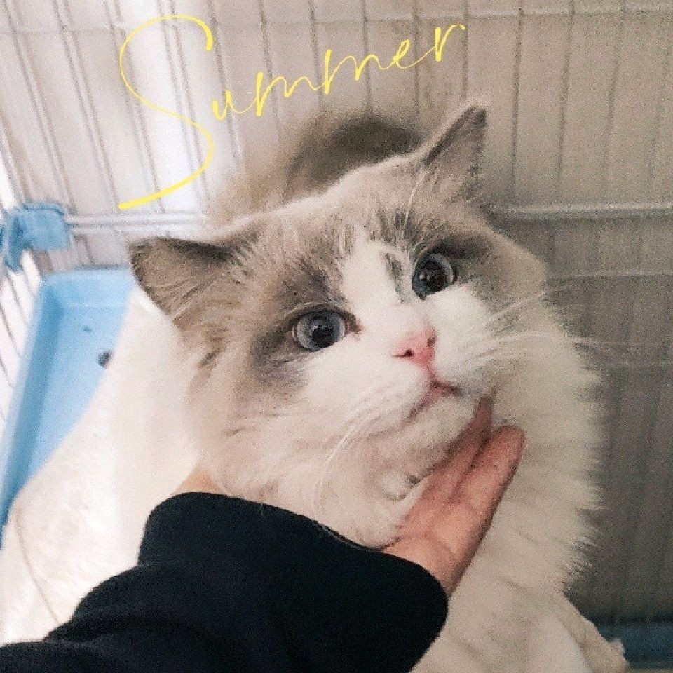 qq_~45
