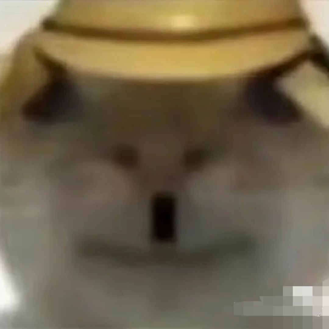 qq_鼠鼠星78