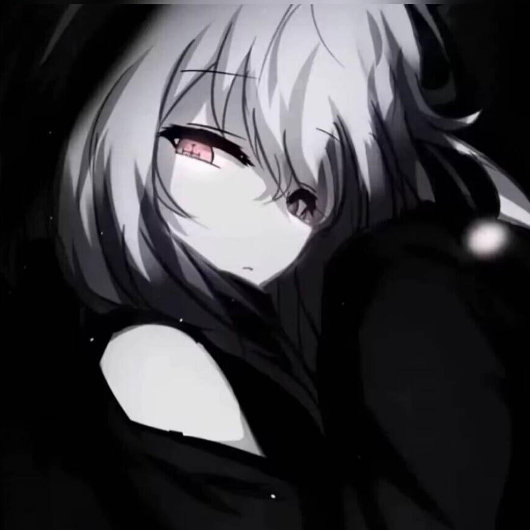 qq_秘83