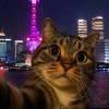 就是就是就是-【TITAIKE】T太科网
