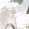 浣熊幻想-【TITAIKE】T太科网