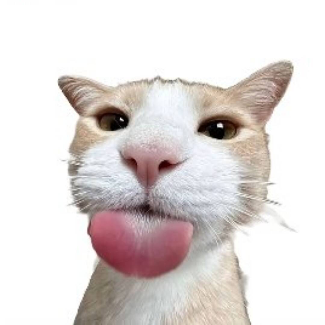 qq_サスケ75
