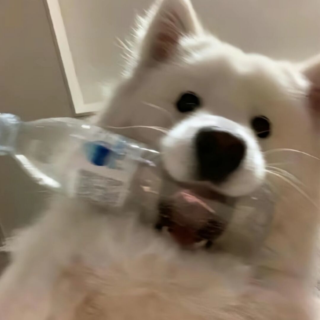 qq_Y       88