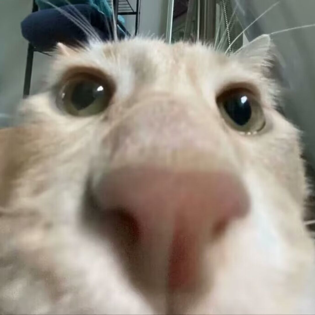 qq_　42