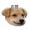 小竹ouo-【TITAIKE】T太科网