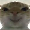 小᳐猫卷᳐੭的头像