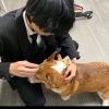 zzzzzzzzzz-【TITAIKE】T太科网