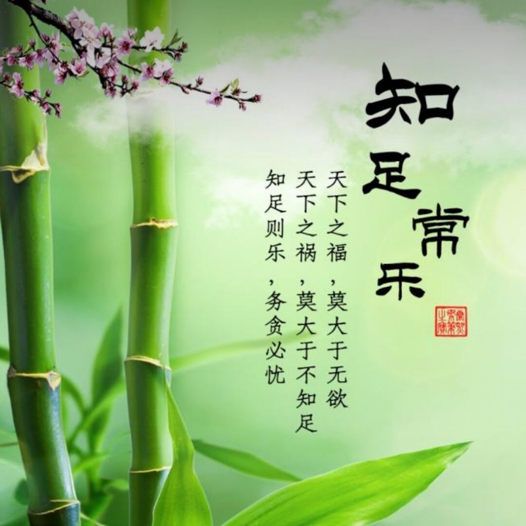 qq_❤流星花园❤84