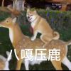 任天堂（墨西哥区） - 游戏网格GameGrid