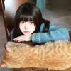 爱你的猫-【TITAIKE】T太科网
