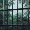 SZYZS-【TITAIKE】T太科网