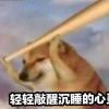 z ccccc-【TITAIKE】T太科网