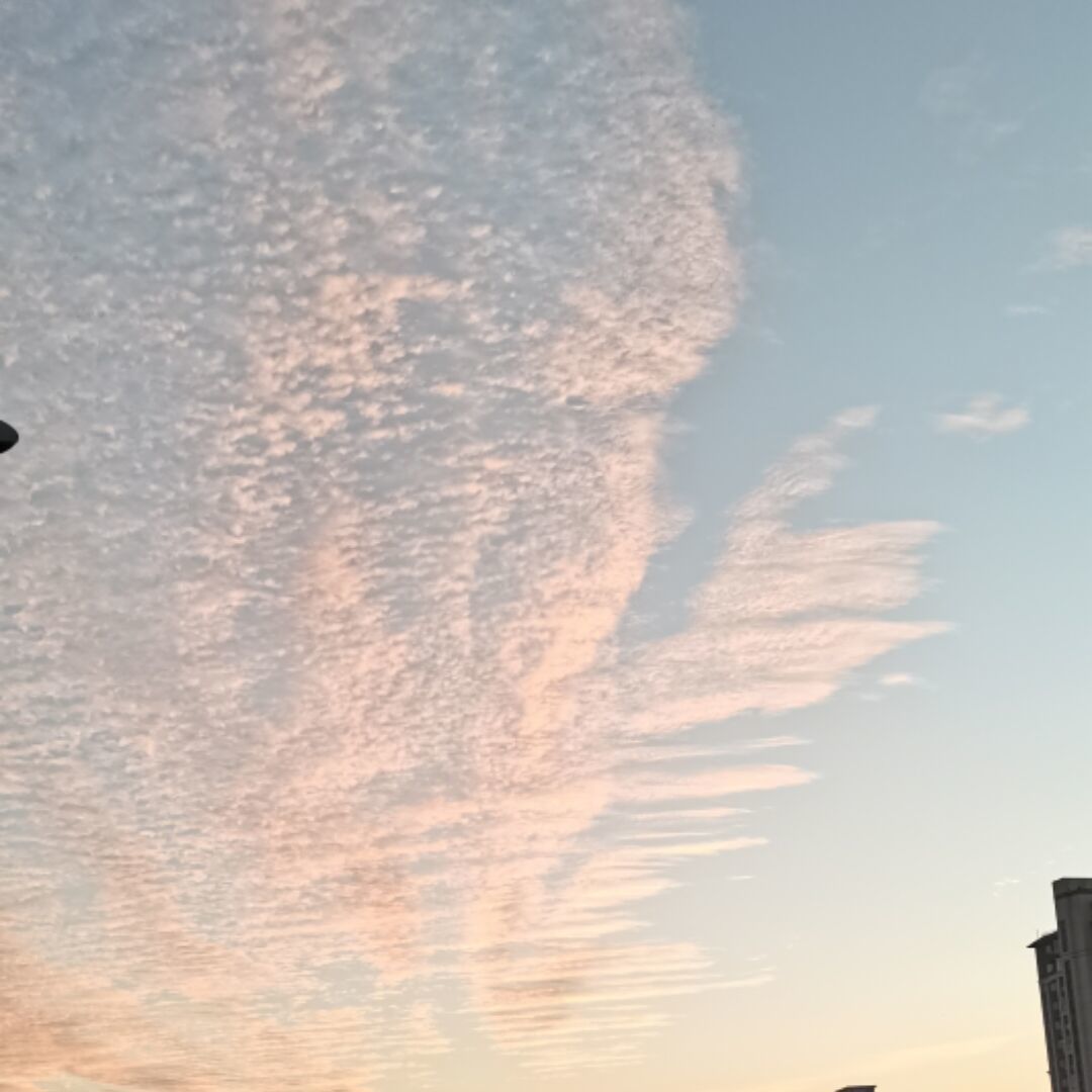 qq_cn  笛子58