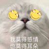 yymmt-【TITAIKE】T太科网