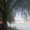 小艾