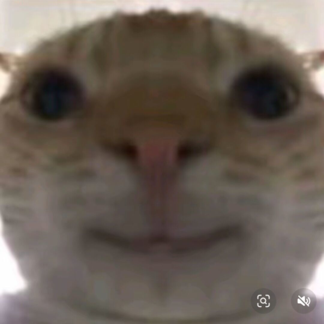 qq_杨大瑞55