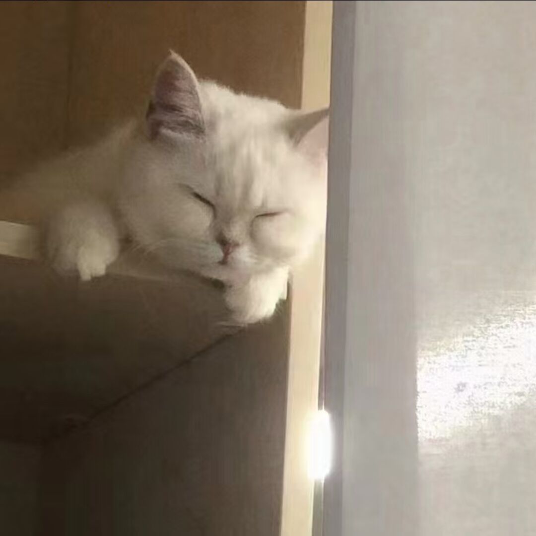 qq_布丁88