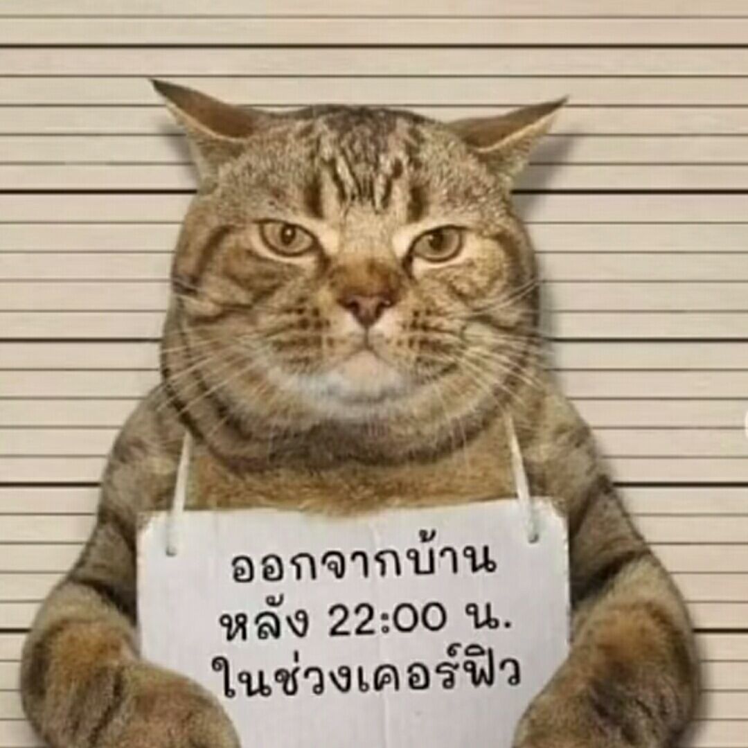 qq_日久生情31