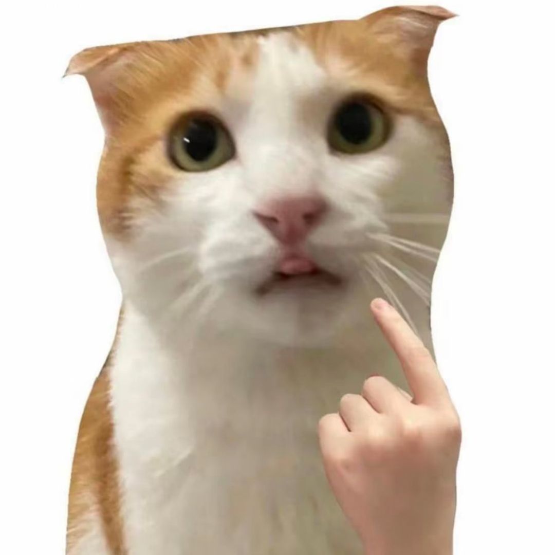 qq_要赏月嘛19