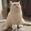 子淇