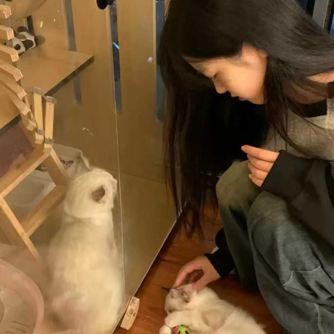 qq_小y45