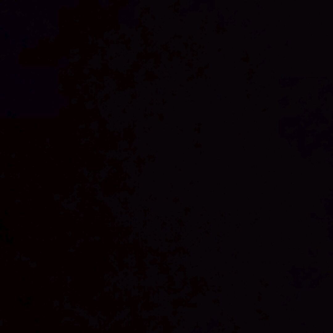 qq_1234594