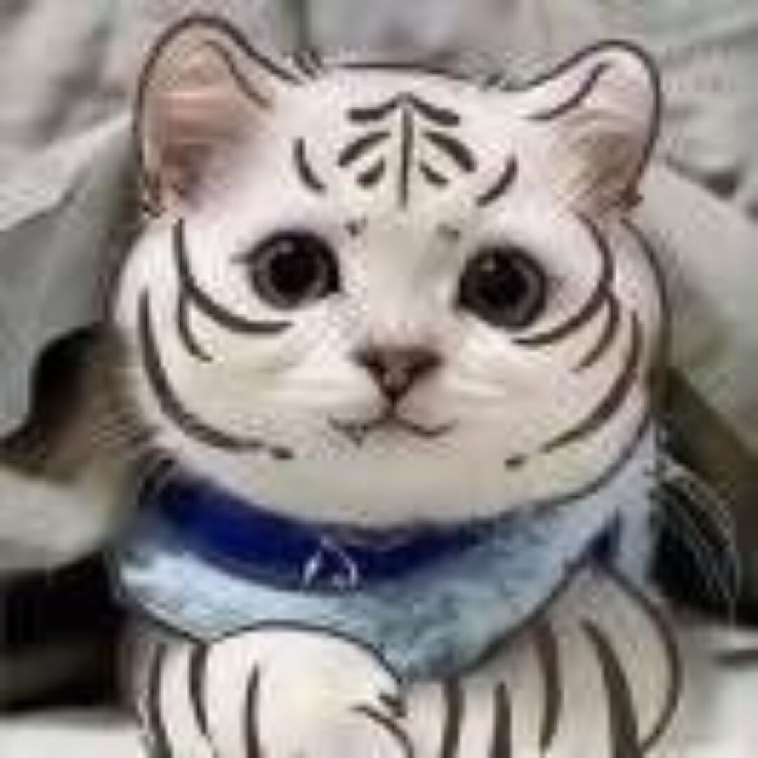 qq_眰恦·80