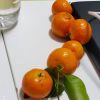 666636kd-【TITAIKE】T太科网
