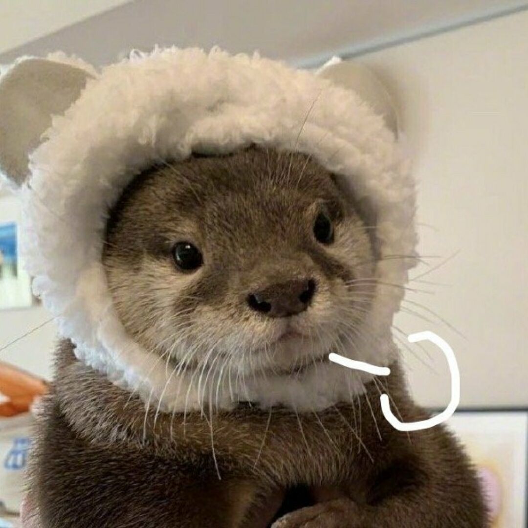 西谷夕