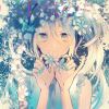 cyan33-【TITAIKE】T太科网