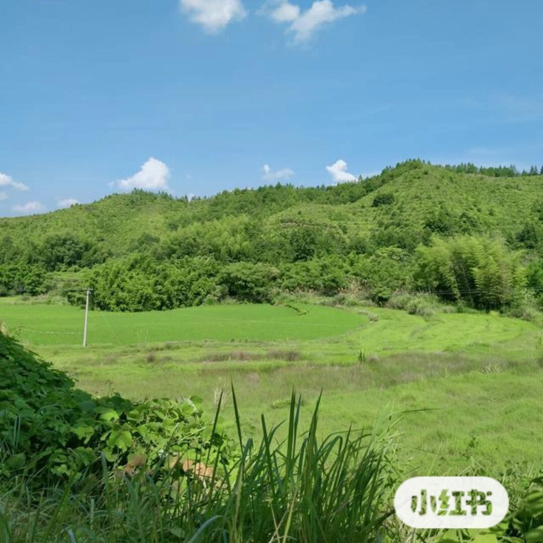 qq_天道酬勤20