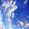 空空-云梦泽