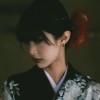 Rein212-晓白博客网