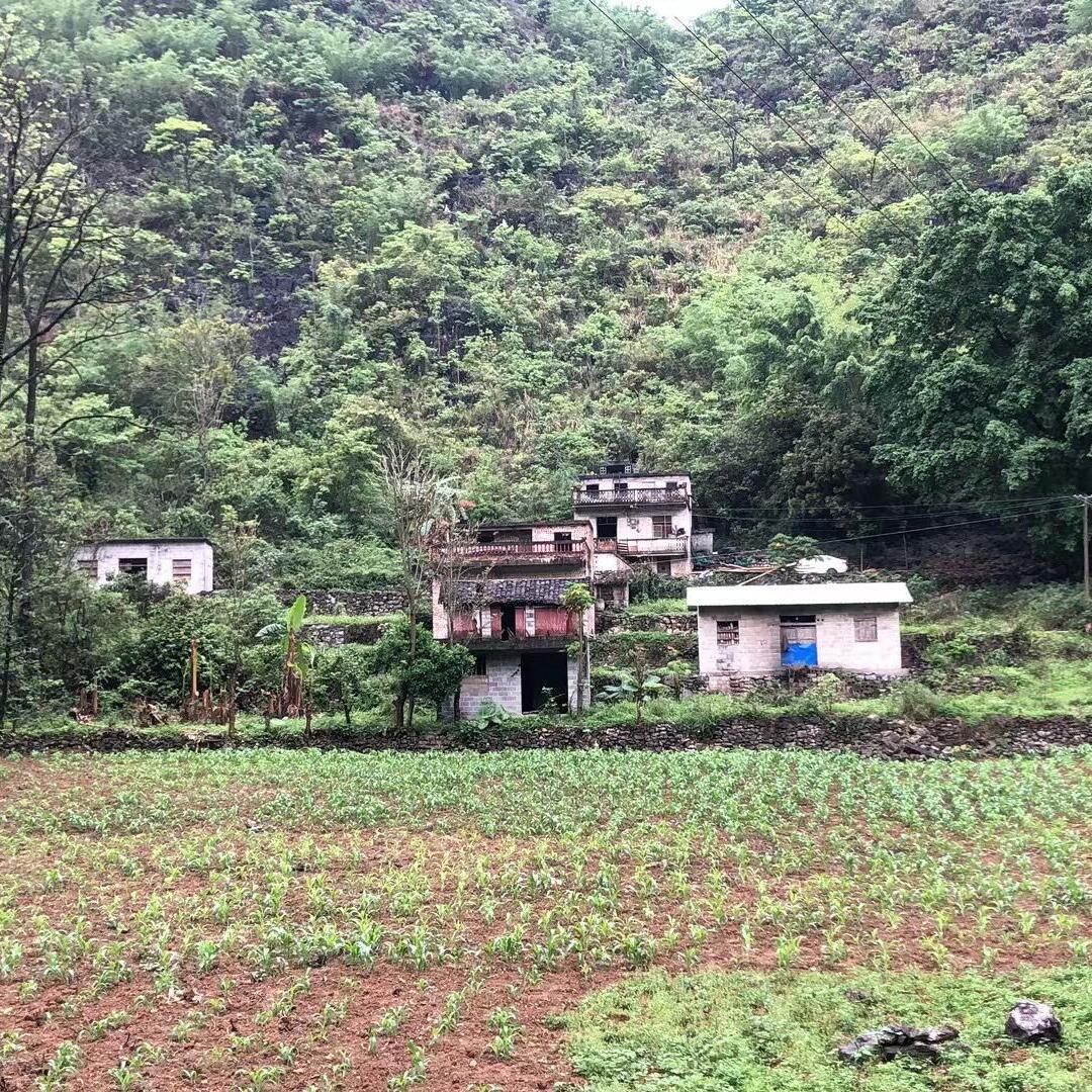 qq_勤奋居士38