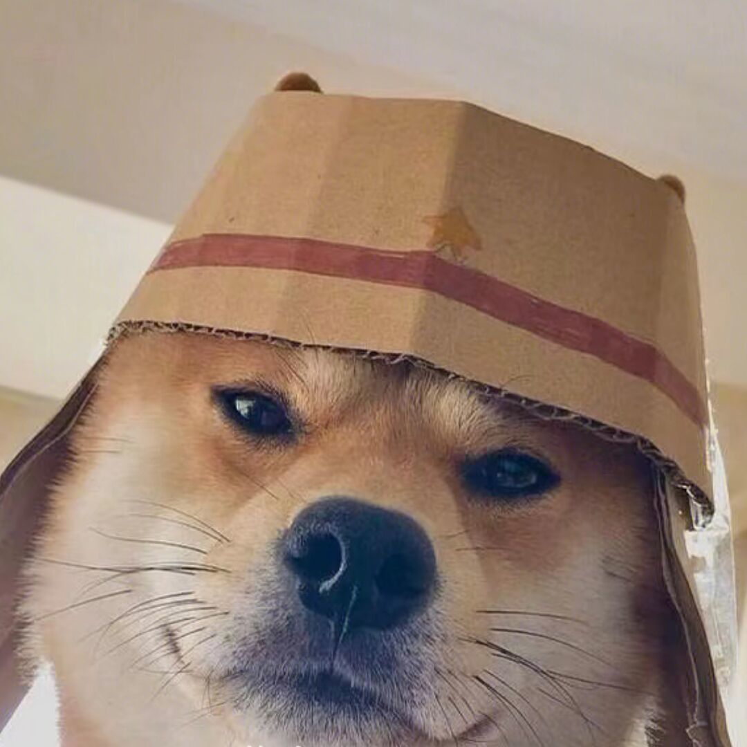 qq_kami44