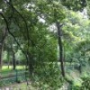 qq_祥子58