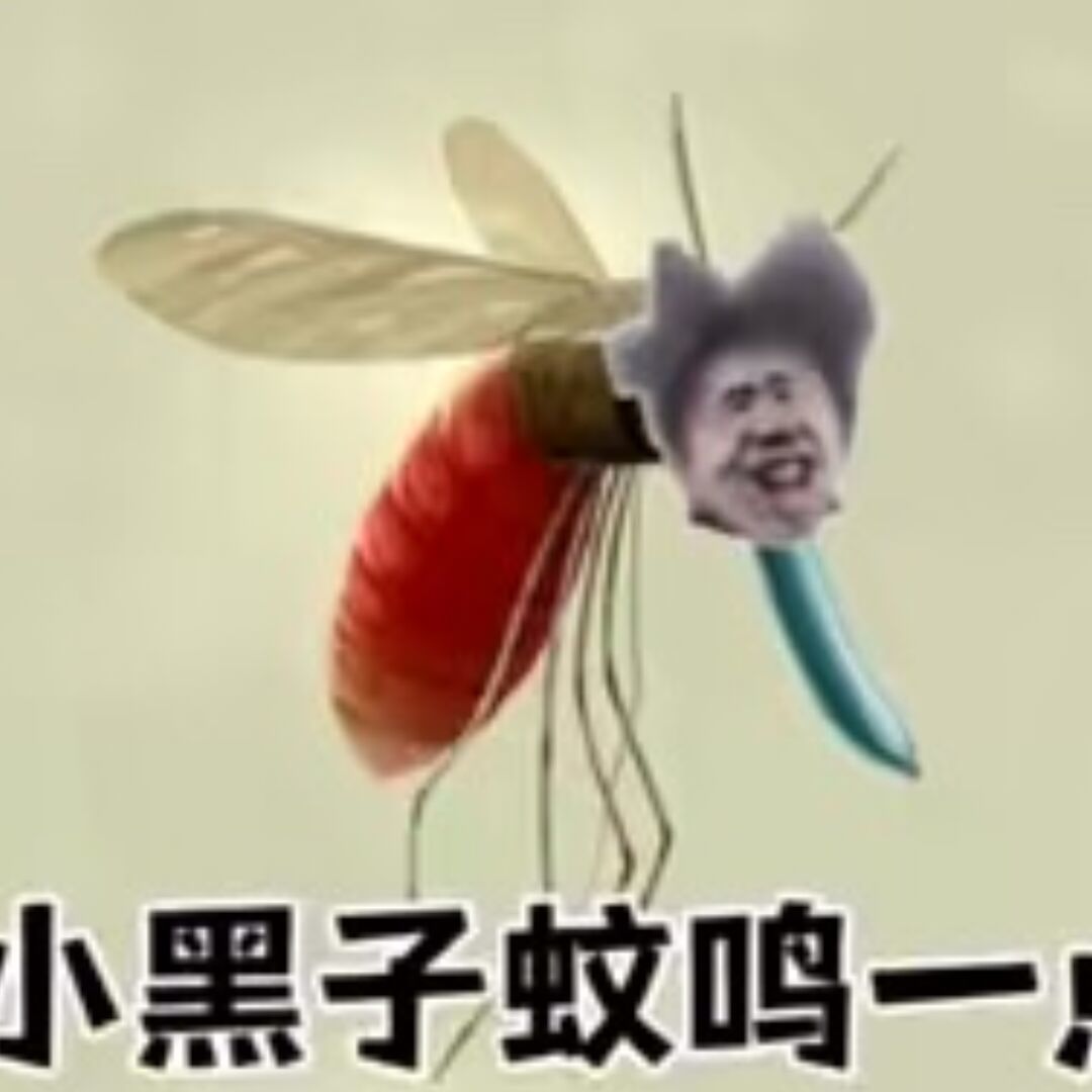 qq_小黑子52