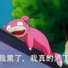 mulinhaha-【TITAIKE】T太科网