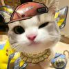 daad-【TITAIKE】T太科网