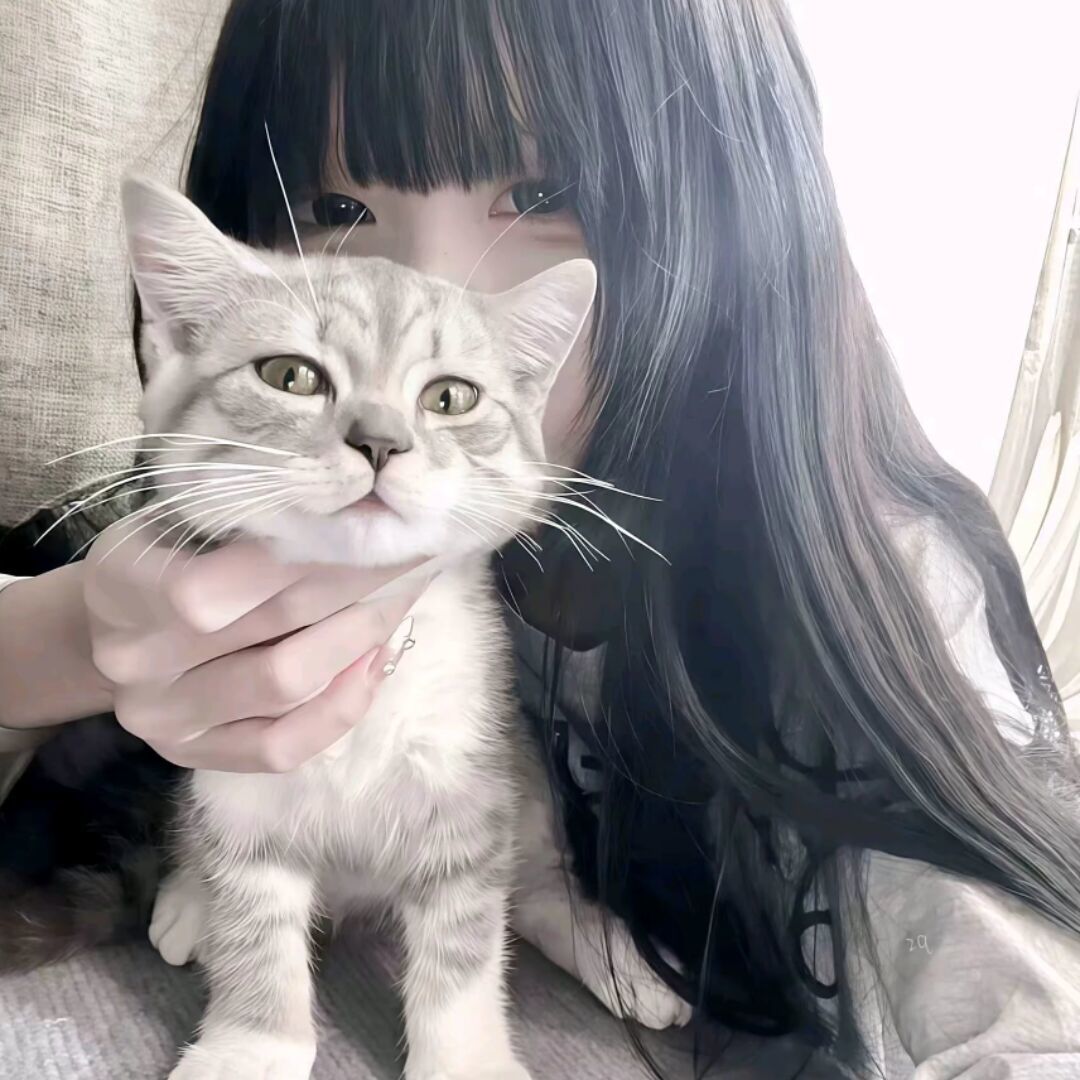用户头像