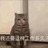 yhufuyf-【TITAIKE】T太科网