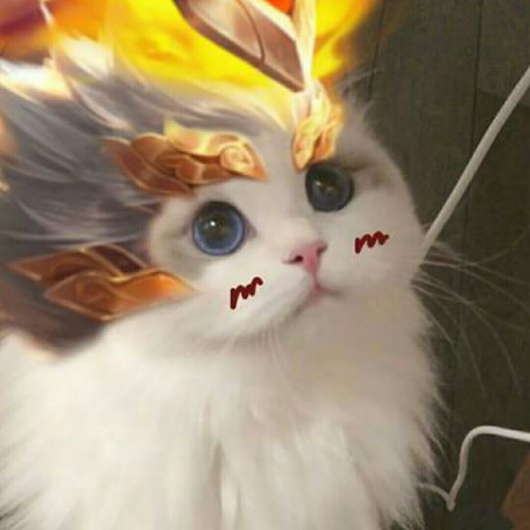 qq_自由如风95