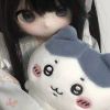 Cheeoop-【TITAIKE】T太科网
