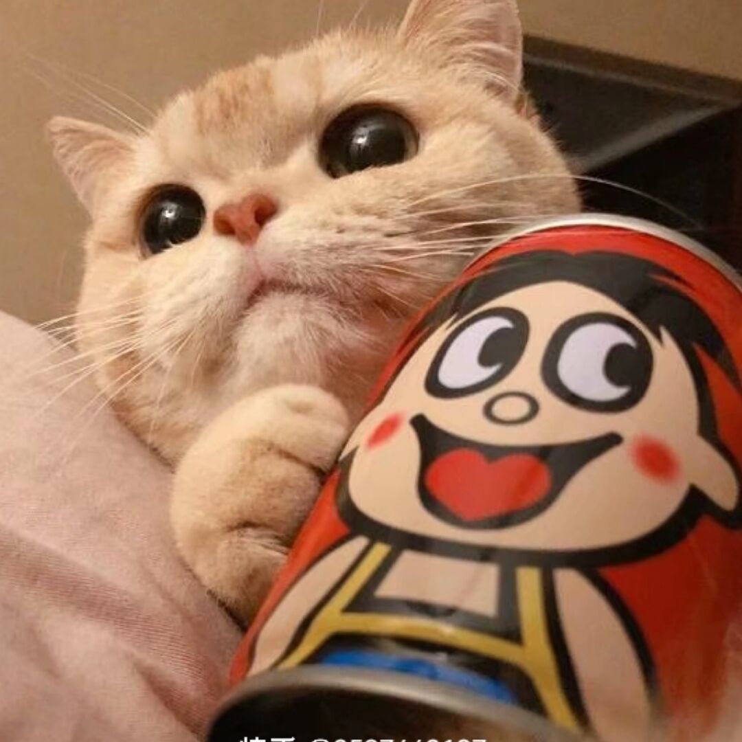 qq_…51