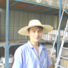 qq_那爱止步90