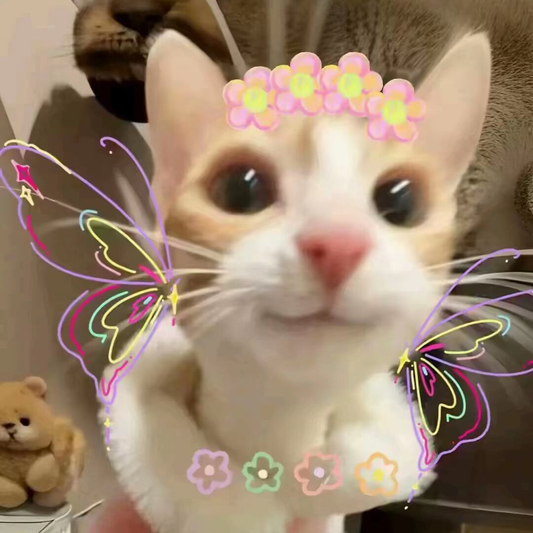 qq_冰岛挚爱^32