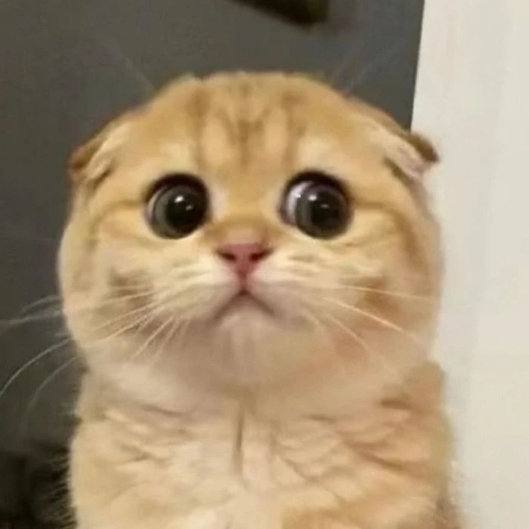 八月