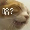 刺使林-【TITAIKE】T太科网