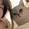 一只云端的鹤-【TITAIKE】T太科网